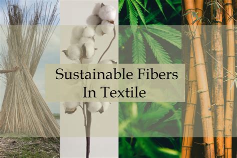 Wool: A Natural Fiber Revolutionizing Sustainable Packaging and Textile Innovation!