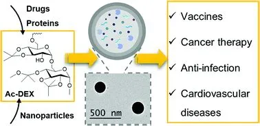  Dextran: Liệt kê các ứng dụng y tế và điều chế sinh học của polyme đa năng này!