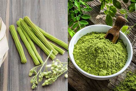  Moringa - Khám phá tiềm năng siêu thực phẩm trong ngành dược phẩm và chế biến thực phẩm!